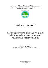 Xây dưng quy trình định danh vi khuẩn gây bệnh loét trên cây bưởi bằng phương pháp sinh học phân tử