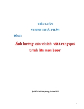 Ảnh hưởng của vi sinh vật trong quá trình lên men beer