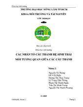 Các nhân tố cấu thành hệ sinh thái, mối tương quan giữa các cấu thành