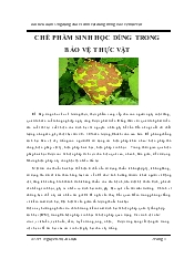 Chế phẩm sinh học dùng trong bảo vệ thực vật