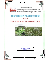 Chiến lược phát triển sản phẩm trà Atisô cam thảo của Công ty TNHH Nam Nguyên