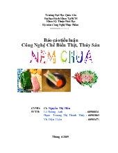 Đề tài Công nghệ chế biến nem chua