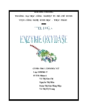 Enzyme Oxydase