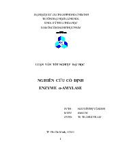 Nghiên cứu cố định enzyme amylase