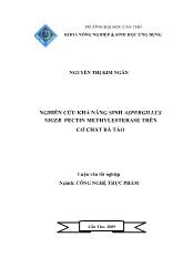 Nghiên cứu khả năng sinh Aspergillus niger pectinmethylesterase trên cơ chất bã táo