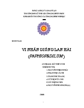 Nghiên cứu kỹ thuật nhân giống hoa lan hài