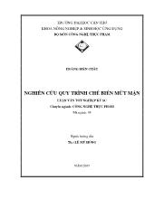 Nghiên cứu quy trình chế biến mứt mận