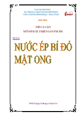 Nghiên cứu sản xuất và phát triển sản phẩm nước ép bí đỏ có bổ sung mật ong