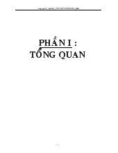 Quy trình công nghệ sản xuất các sản phẩm lêm men từ thịt và cá