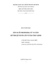 Sản xuất biodiesel từ vi tảo - Kỹ thuật nuôi cấy vi tảo thu lipid