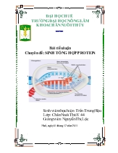 Sinh tổng hợp Protein