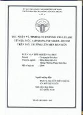 Thu nhận và tinh sạch enzyme cellulase từ nấm nun Aspergilluse Niger, Mucor trên môi trường lên men bán rắn