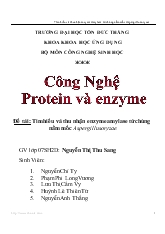Tìm hiểu và thu nhận enzyme amylase từ chủng nấm mốc Aspergillus oryzae