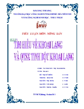 Tìm hiểu về khoai lang và quy trình sản xuất tinh bột khoai lang