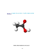 Vi khuẩn acetic và lên men giấm