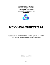 Vi nhân giống và bảo tồn cây vani (vanilla) trong phòng thí nghiệm