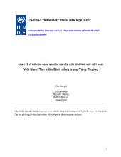 Tìm kiếm bình đẳng trong tăng trưởng, nghiên cứu trường hợp Việt Nam (chương trình của Liên hiệp quốc)