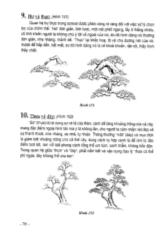 Nghệ thuật bonsai cây cảnh - Phần 2