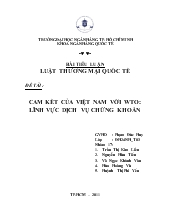 Cam kết của Việt Nam với WTO lĩnh vực dịch vụ chứng khoán
