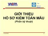 Đề tài Hồ sơ kiểm toán mẫu