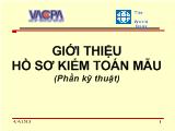 Đề tài Hồ sơ kiểm toán mẫu