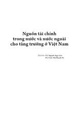 Đề tài Nguồn tài chính trong nước và nước ngoài cho tăng trưởng ở Việt Nam