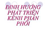 Đề tài Xây dựng hệ thống nhà phân phối trên lãnh thổ Việt Nam