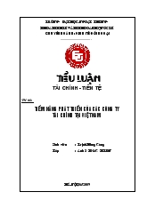 Đề tài Tiềm năng phát triển của các công ty tài chính tại Việt Nam