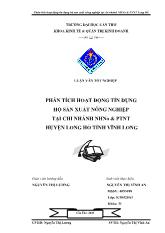 Luận án Phân tích hoạt động tín dụng hộ sản xuất nông nghiệp tại chi nhánh ngân hàng nông nghiệp và phát triển nông thôn huyện Long Hồ tỉnh Vĩnh Long