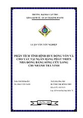 Phân tích tình hình huy động vốn và cho vay tại ngân hàng phát triển nhà đồng bằng sông cửu long chi nhánh Trà Vinh