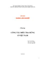 Đề tài Công tác điều tra rừng ở Việt Nam