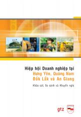 Đề tài Hiệp hội doanh nghiệp khảo sát, so sánh và khuyến nghị