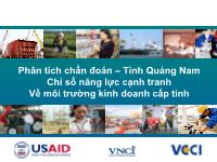 Phân tích chuẩn đoán tỉnh Quảng Nam Chỉ số năng lực cạnh tranh về môi trường kinh doanh cấp tỉnh