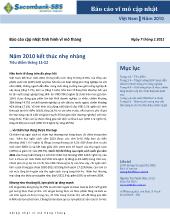 Báo cáo Cập nhật tình hình vĩ mô - Năm 2010 kết thúc nhẹ nhàng