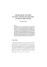 Đề tài Trung quốc vào WTO (tổ chức thương mại thế giới): Cơ hội và thử thách
