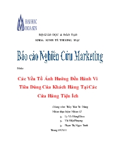 Đề tài Các yếu tố ảnh hưởng đến xu hướng hành vi của người tiêu dùng tại các cửa hàng tiện ích trên địa bàng TP Hồ Chí Minh