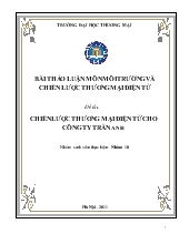 Đề tài Chiến lược thương mại điện tử cho công ty Trần Anh