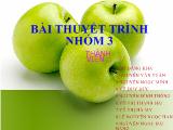Đề tài Những giải pháp để phát triển dịch vụ vận tải hành khách của tãi Mai Linh