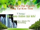 Quản trị Marketing  - Mũ bảo hiểm túi khí