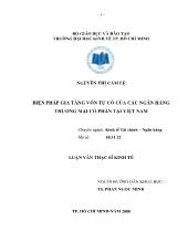 Luận văn Biện pháp gia tăng vốn tự có của các Ngân Hàng Thương Mại Cổ Phần Việt Nam