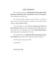 Đề tài Giải pháp phát triển hoạt động bảo lãnh ngân hàng tại Ngân hàng thương mại cổ phần Ngoại thương Việt Nam
