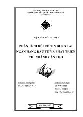 Đề tài Phân tích rủi ro tín dụng tại ngân hàng đầu tư và phát triển chi nhánh Cần Thơ