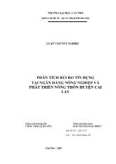 Luận văn Phân tích rủi ro tín dụng tại ngân hàng nông nghiệp và phát triển nông thôn huyện Cai Lậy