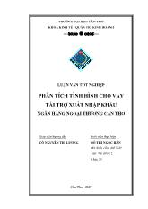 Luận văn Phân tích tình hình cho vay tài trợ xuất nhập khẩu ngân hàng ngoại thương Cần Thơ