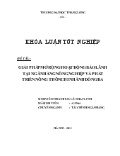 Đề tài Giải pháp mở rộng hoạt động bảo lãnh tại ngân hàng Nông nghiệp và Phát triển Nông thôn chi nhánh Đống Đa