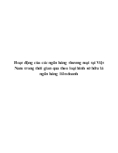 Đề tài Hoạt động của các ngân hàng thương mại tại Việt Nam trong thời gian qua theo loại hình sở hữu là ngân hàng liên doanh