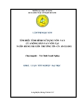 Khóa luận Tìm hiểu tình hình sử dụng vốn vay của nông dân vay vốn tại ngân hàng Sài Gòn thương tín- Chi nhánh An Giang