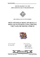 Luận văn Thực trạng hoạt động tín dụng cá nhân tại Ngân hàng Công Thương Việt Nam Chi nhánh 3 - TP Hồ Chí Minh