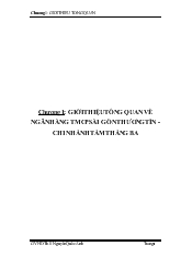 Nghiệp vụ cho vay bất động sản tại ngân hàng thương mại cổ phần Sài Gòn thương tín - Chi nhánh tám tháng ba