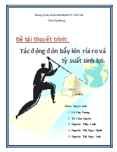 Tiểu luận Tác động đòn bẩy lên rủi ro và tỷ suất sinh lợi